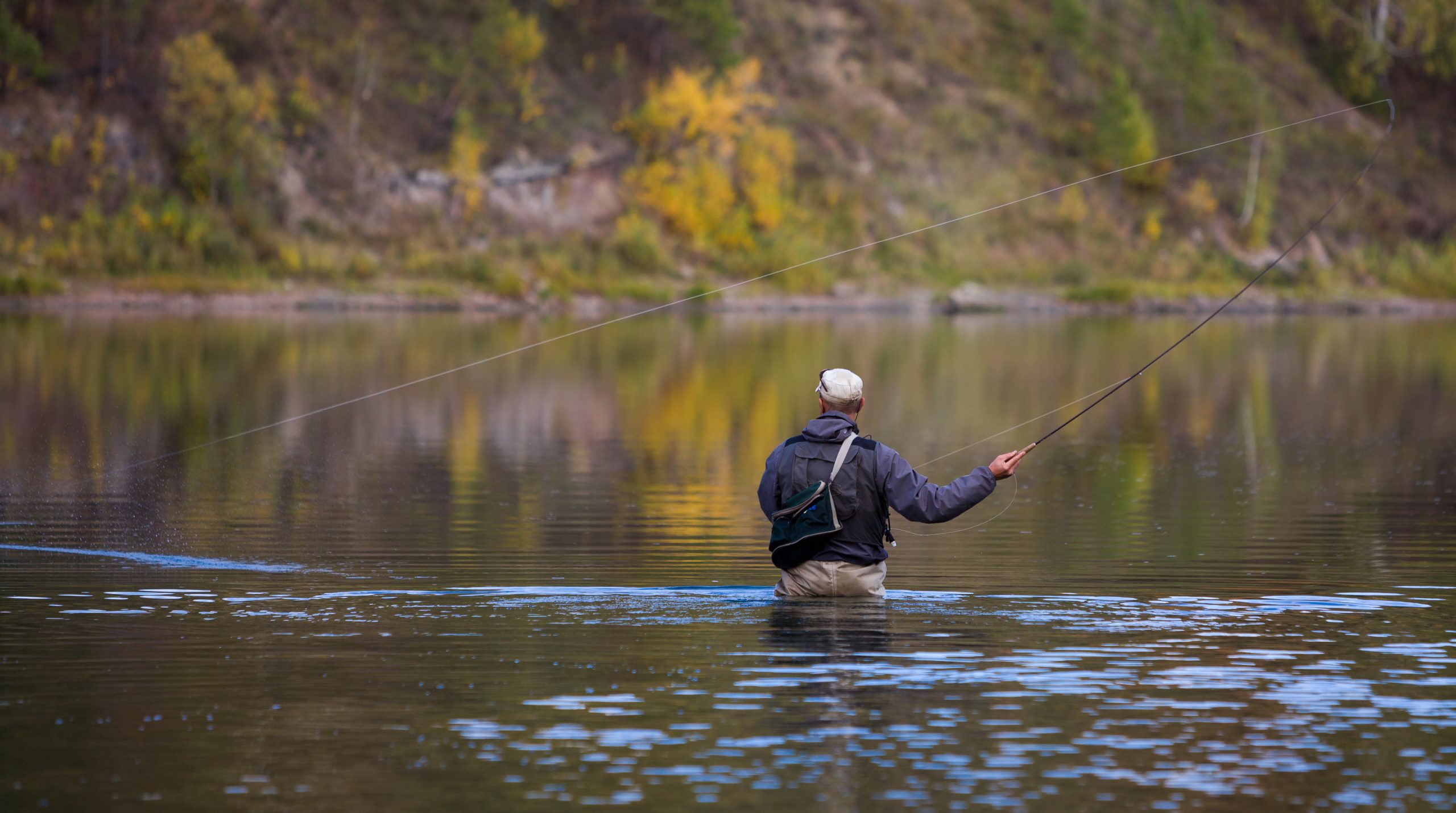Fly Fisherman